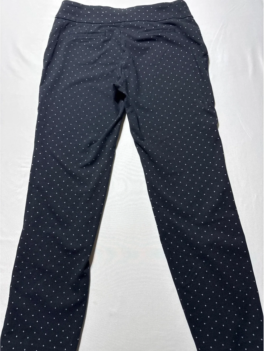 Charter Club Cambridge Slim Black Polka Dot Pants Size 10 -